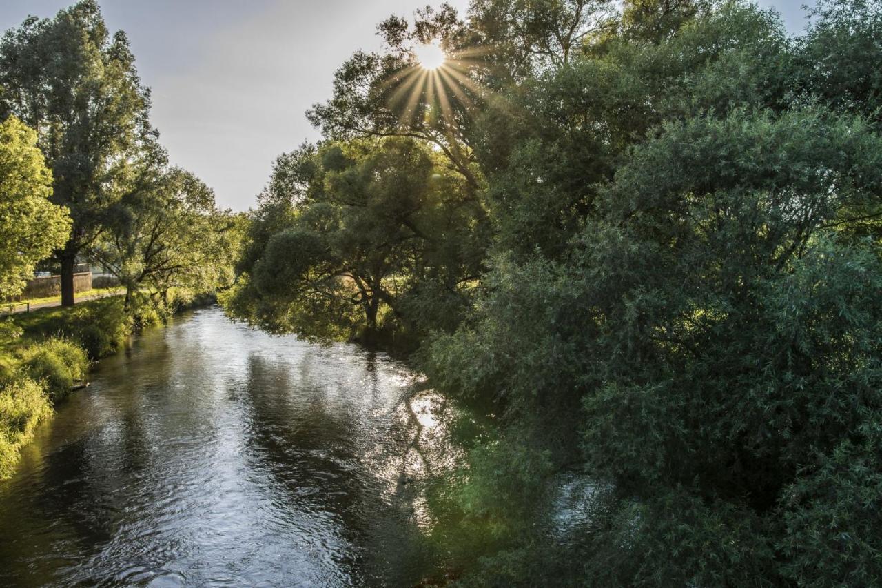 Ferienwohnung Jobst - Ruhig Mit Blick Ins Gruene Nittenau Esterno foto